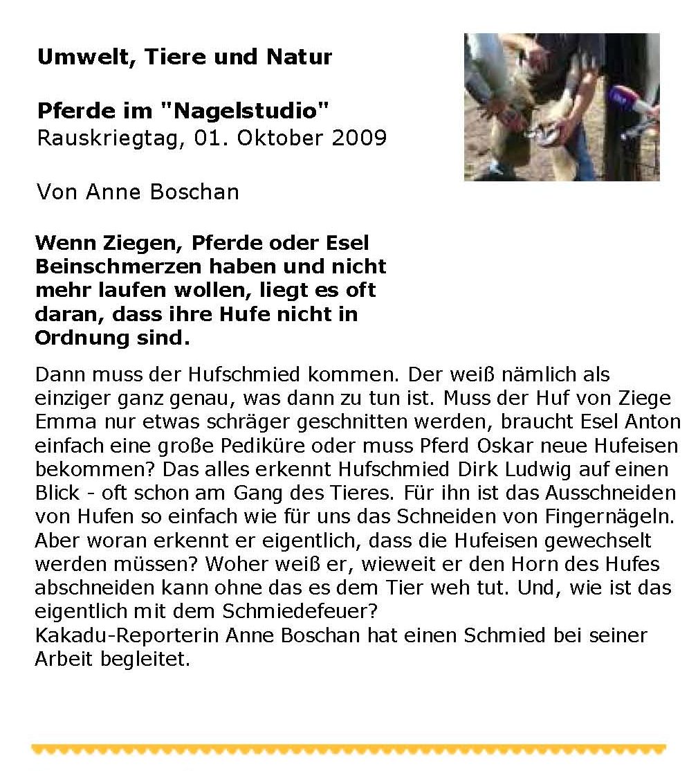 Deutschlandradio Kultur Beitrag